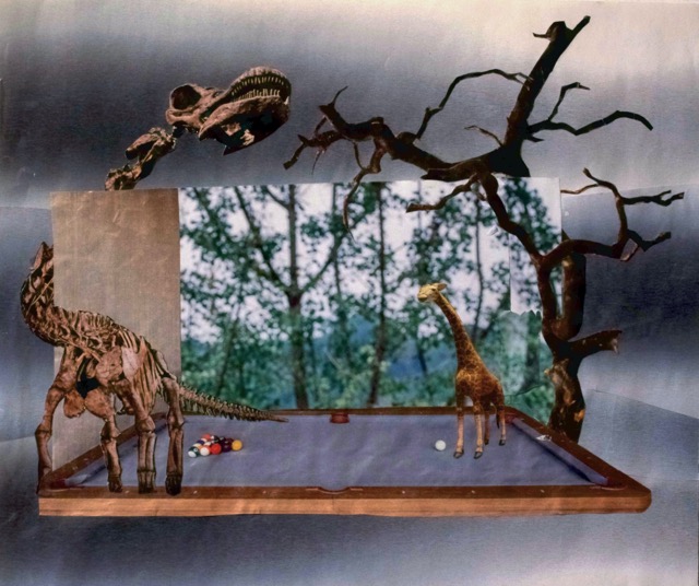 Giraffe and her Cousin