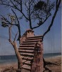 Rubin_Julia_Stairs on the Beach.JPG