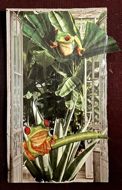 Frog Meets Frog
